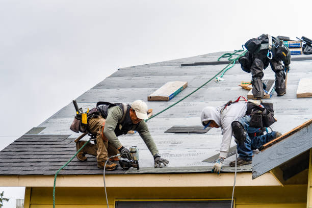 Professional Gutter Installation technician working in Lathrop, MO